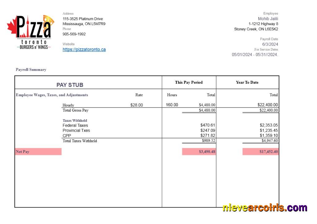 Pizza Toronto pay stub